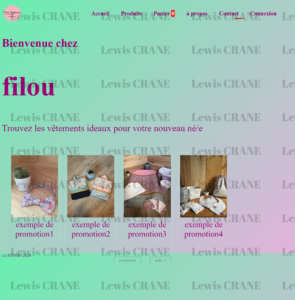 Capture site filou ap2